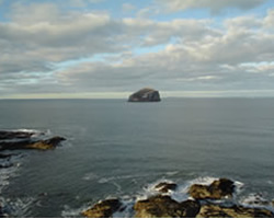 Bass rock in the North Sea